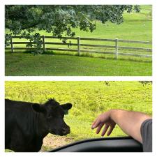 Marshall-Pasture-Fence-Cleaning 1